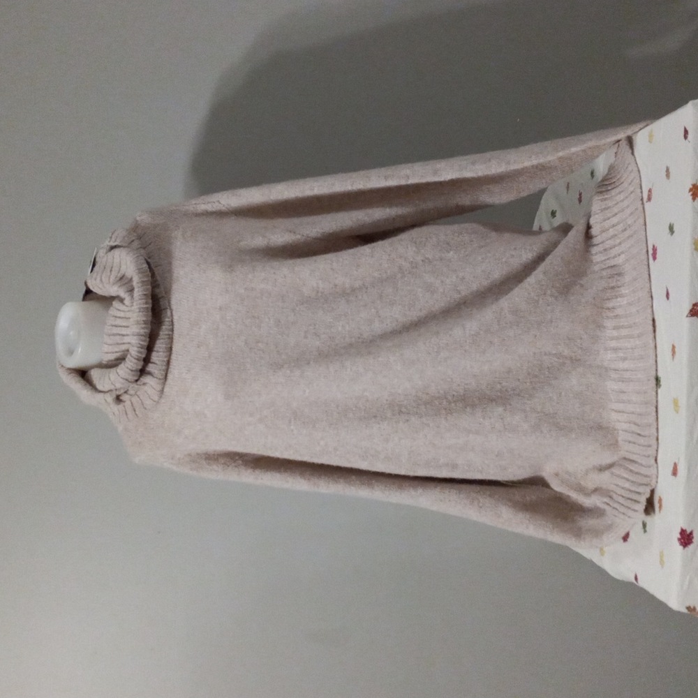 BP turtleneck sweater